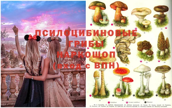 mdpv Волоколамск