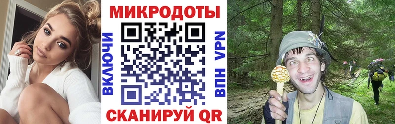Галлюциногенные грибы GOLDEN TEACHER  даркнет Telegram  Александровское 